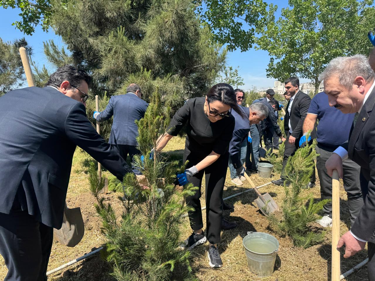 The tree-planting action dedicated to the 102nd anniversary of the National Leader Heydar Aliyev was organized